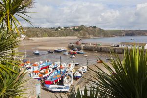 tenby harbour april 3 2012 1 sm.jpg